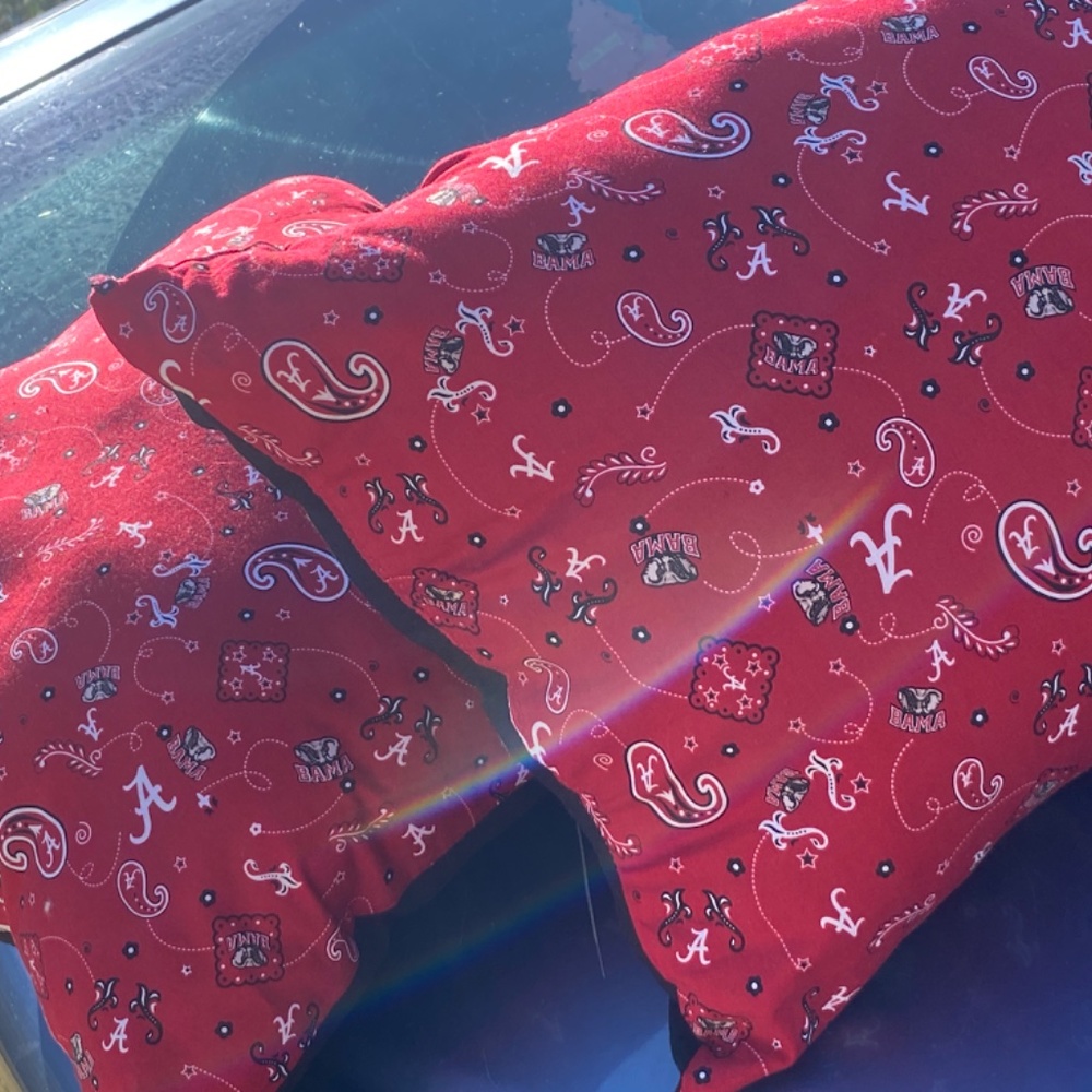 Two Alabama Pillows - Picture 4 of 4